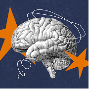 Adolescence Brain