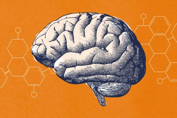 orange background, white brain, blue outlines
