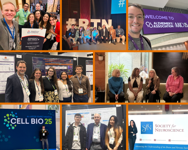 Collage of conference participation