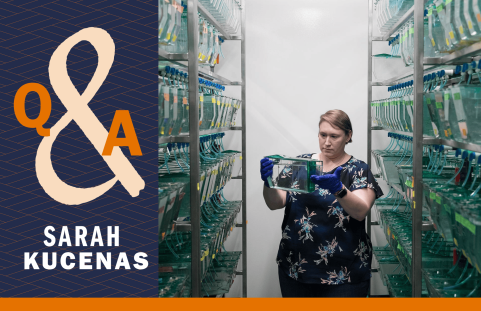 Sarah Kucenas in zebrafish lab.