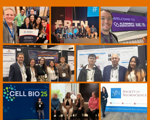 We are proud to announce the recipients of the Neuroscience Graduate Student Travel Awards, which provide support for second-year graduate students to attend and present their research at the Society for Neuroscience (SfN) Annual Meeting in November 2025.