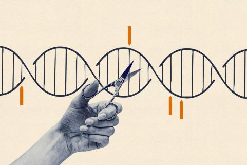 DNA cutting illustration